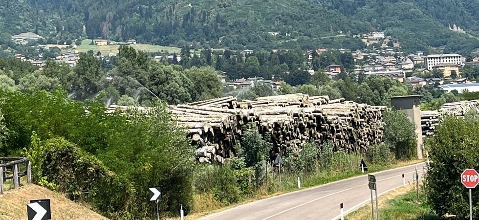 In Trentino manca l’acqua ma le segherie “annaffiano” il legname in deposito